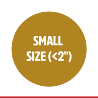 BW-ALLOY-STEEL-ELBOWS-SMALL-SIZE